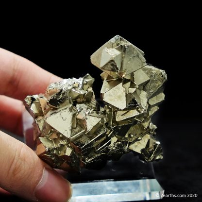 Pyrite Cluster Floater from Huanzala Mine, Peru