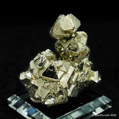 Pyrite Cluster Floater from Huanzala Mine, Peru