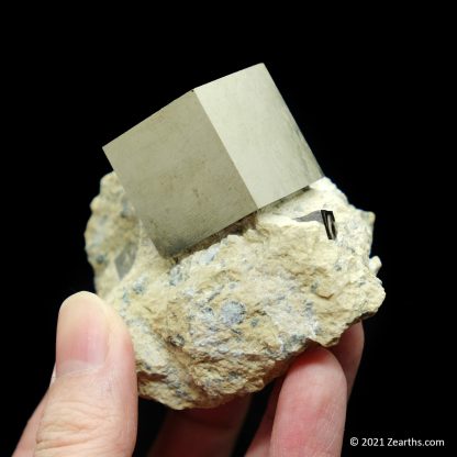 Cubic Pyrite Crystals from Navajún, La Rioja, Spain