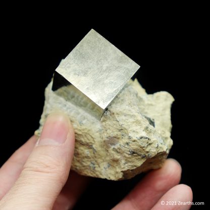 Cubic Pyrite Crystals from Navajún, La Rioja, Spain