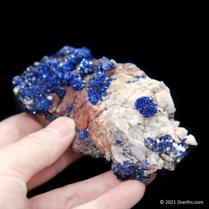 Azurite Crystals on Matrix from Touissit, Morocco