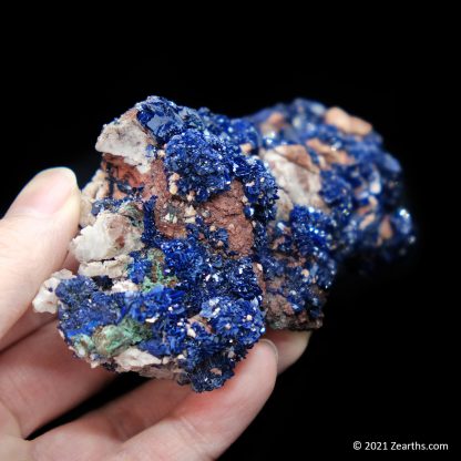 Azurite Crystals on Matrix from Touissit, Morocco